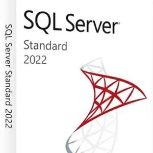 SQL Server 2022 Standard - License key Email delivery